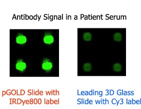 plasmonic gold (pGOLD) coating enhancing fluorescence signals for up to 100 times in sensitivity and dyanmic range