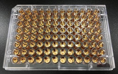 Gold coated 96 well microplates or 384 well plates for applications in PCR plate, cell culture