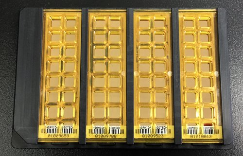 Nanoscale+plasmonic-gold+platform+assay+module Picture.jpg