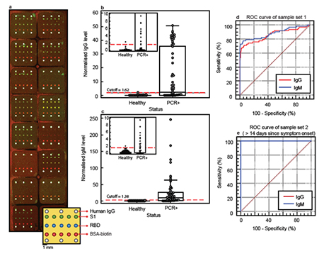 1640239136135887.jpg Plasmonic gold (pGOLD) fluorescence microarray assay for accurate detection of antibody IgG/ IgM with SARS-CoV-2 serum